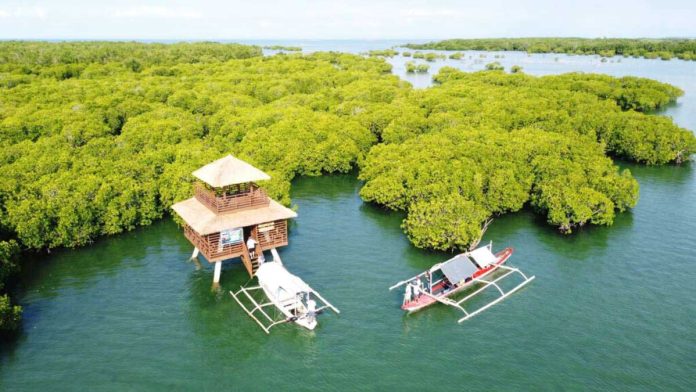 sagay_city_conservation_resized The newly inaugurated Watchtower and Kayak Center in Barangay Bulanon, Sagay City, Negros Occidental stands tall within the 366-hectare Lapus-Lapus–Macapagao Local Conservation Area. Funded by Seacology, the structure will support eco-tourism and biodiversity monitoring efforts. SAGAY CITY PIO PHOTO