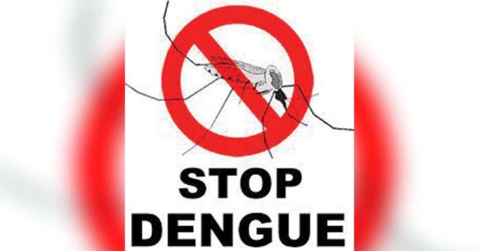 stop-dengue
