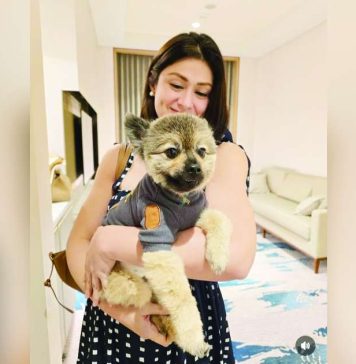 Carla Abellana with Teddy Bear, one of her six pet dogs