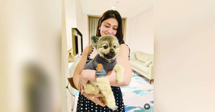 Carla Abellana copy_superimposed Carla Abellana with Teddy Bear, one of her six pet dogs