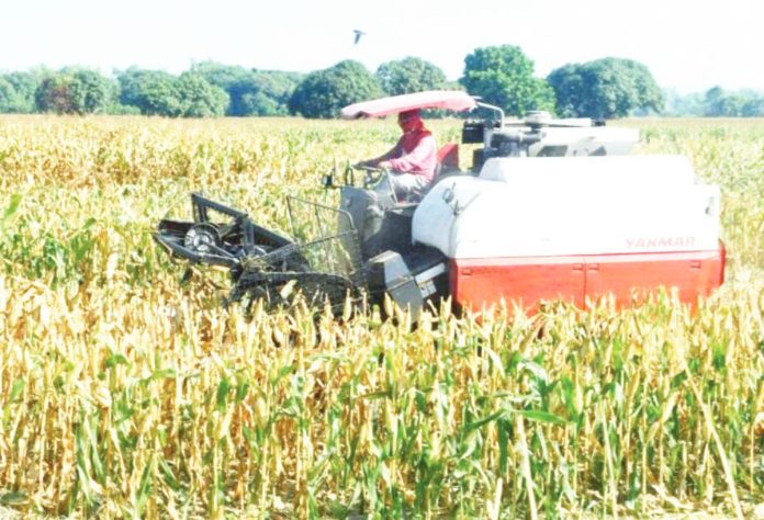 Portions of a corn field in the village of Leet in Sta. Barbara, Pangasinan start to dry up in early February this year, as a farmer uses a mechanized harvester to make his job of harvesting easier amid the dry conditions and absence of rainfall brought about by the El Niño phenomenon. FILE PHOTO FROM WILLIE LOMIBAO