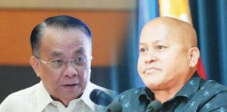 BERSAMIN, DELA ROSA