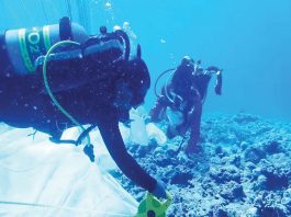 Filipino divers inspecting the parachute anchor placed by Chinese maritime militia. PHOTO FROM THE PHILIPPINE COAST GUARD