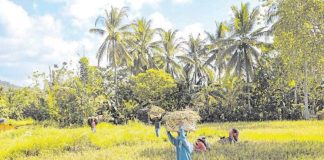 The Federation of Free Farmers expressed concern over the possibility that the agriculture sector will be used as a bargaining chip in the trade negotiations between the Philippines and the United States. PHOTO COURTESY OF INQUIRER.NET