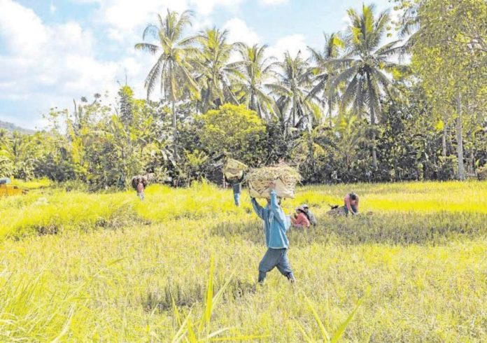 agri_sector_resized The Federation of Free Farmers expressed concern over the possibility that the agriculture sector will be used as a bargaining chip in the trade negotiations between the Philippines and the United States. PHOTO COURTESY OF INQUIRER.NET
