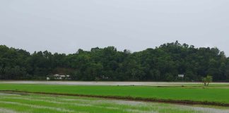 The Angub Rice Field in Cuartero, Capiz, was flooded following heavy rains on Friday, July 18. Photo courtesy of MDRRMO Cuartero.