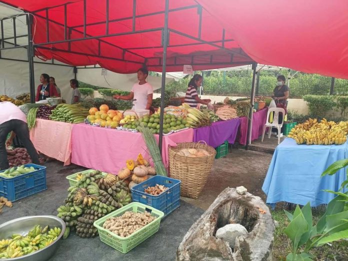 capiz_showcases_resized The province of Capiz showcases a wide variety of fresh agricultural products and other homegrown produce during a street market held under the KADIWA ng Pangulo (KNP) Para sa Masaganang Bagong Pilipinas program at the Capiz Provincial Park. PHOTO COURTESY OF PIA CAPIZ