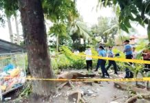 A male newborn was found dead inside a cooking pot beside this Materials Recovery Facility in Purok Makiangayon, Barangay Punta Taytay, Bacolod City, on July 22, 2025. SCREENGRABBED FROM K5 NEWS FM BACOLOD FB VIDEO