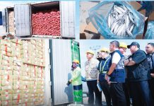 Onions misdeclared as egg noodles, spring rolls and dumplings were seized at the Port of Manila on Tuesday, July 1, 2025. Also seized were imported mackerels. BUREAU OF CUSTOMS PHOTOS