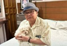 TITO JERRY’S TIME OF SLOWING DOWN, STAYING CLOSE: Former Mayor Jerry P. Treñas embraces life after politics TOM AND JERRY. Tito Jerry with his pet dog, Tom