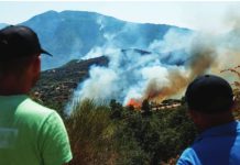 Smoke rises from a wildfire burning in Albania, forcing people to evacuate their homes. REUTERS