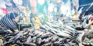 There is an abundant supply of fresh seafood at Nepa Q-Mart in Quezon City. The July 2025 inflation rate slowed to 0.9 percent year-on-year, down from 1.4 percent in June, with Philippine Statistics Authority data showing that rice inflation drove the annual slowdown in the food index after it registered a 15.9 percent decline from a 14.3 percent drop in June. PLA