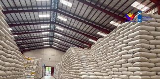 Capisnon small-scale farmers, registered under the Department of Agriculture’s Registry System for Basic Sectors in Agriculture who own or till two hectares of land or less, can now avail P20/kilo rice program. NFA-CAPIZ PHOTO
