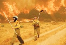 Firefighters tackle a raging inferno in a Spanish woodland scene. The grass around them is dry and parched, and the trees in the background are completely aflame. GETTY IMAGES