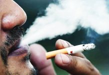 “Tuklaw” is made from a tobacco plant associated with South America but popular in Vietnam as “thuoc lao” — which has up to three times more nicotine content than cigarettes. INQUIRER PHOTO/NIÑO JESUS ORBETA