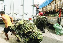 Malacañang says the government is strengthening its banana export production to Australia, United States, Middle East, and other potential markets. PHOTO COURTESY OF ABS-CBN NEWS