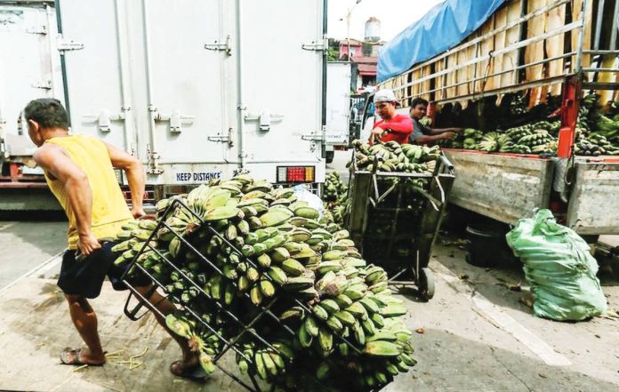 banana_industry.JPG_resized Malacañang says the government is strengthening its banana export production to Australia, United States, Middle East, and other potential markets. PHOTO COURTESY OF ABS-CBN NEWS