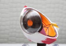 Health dep’t urges early eye checks, healthy habits to prevent vision loss Photo courtesy of Harpreet Singh/Unsplash
