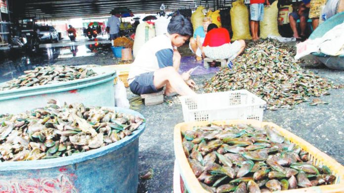 july inflation Vendors sort out newly harvested fresh tahong (green mussels) at Bulungan Fish Market in Parañaque City on August 3, 2025. The Philippine Statistics Authority on August 5 said food and non-alcoholic beverages contributed to the lower inflation rate in July. PNA PHOTO BY AVITO DALAN