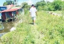 An overgrown and abandoned section of the Budburan Creek project in Lapuz, with nearby houses exposed to flooding risks.