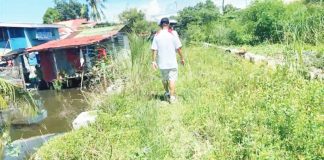 An overgrown and abandoned section of the Budburan Creek project in Lapuz, with nearby houses exposed to flooding risks.