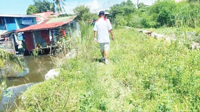 mai lapuz2 An overgrown and abandoned section of the Budburan Creek project in Lapuz, with nearby houses exposed to flooding risks.