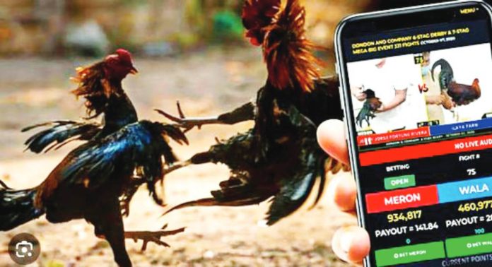 negros e-sabong copy The Negros Occidental’s Sangguniang Panlalawigan approves Ordinance No. 011, Series of 2025, reinforcing the strict implementation of the Cockfighting Law of 1974, and formally banning non-traditional forms of cockfighting and betting, including e-sabong and machine-based wagers, across the province.