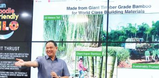 Iloilo’s Gov. Arthur Defensor Jr. gestures during the presentation of Rizome Bamboo’s investment proposal at the Iloilo Provincial Capitol. The proposal aims to establish Iloilo as Southeast Asia’s leading bamboo powerhouse by 2030 through the development of a bamboo-based green economy and engineered bamboo exports. PHOTO FROM BALITA HALIN SA KAPITOLYO
