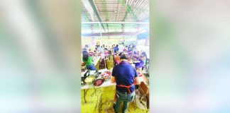 Accredited vendors operating within the Bacolod Public Plaza underwent food processing training on beef tapa and longganisa making on August 15 and 26. BACOLOD CCLDO PHOTO