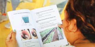 The Department of Agriculture Region 6, through its National Urban and Peri-Urban Agriculture Program, introduced urban gardening and technologies to Barangay Balabag, Pavia, Iloilo residents. DA REGION 6 PHOTO