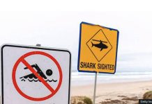 Man dies after suspected shark attack in Sydney Signs warn swimmers on a beach in the Sydney area, Australia. GETTY IMAGES