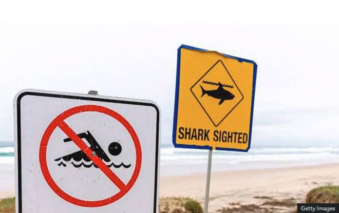 Signs warn swimmers on a beach in the Sydney area, Australia. GETTY IMAGES