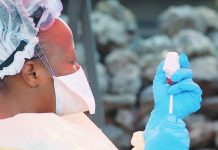 New ebola outbreak kills 15 in DR Congo A nurse in protective gear prepares a vaccine against Ebola in Congo. AFP