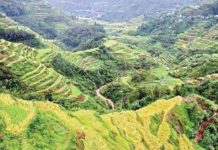 DOT vows to chart sustainable transformation for PH tourism The Banaue Rice Terraces in Banaue, Ifugao province, is a major tourist attraction in Northern Luzon. The Philippine government on Saturday, Sept. 27, 2025, joined the world in pledging to champion a tourism sector that brings long-term benefit to both communities and the planet. PNA FILE PHOTO BY LIZA AGOOT