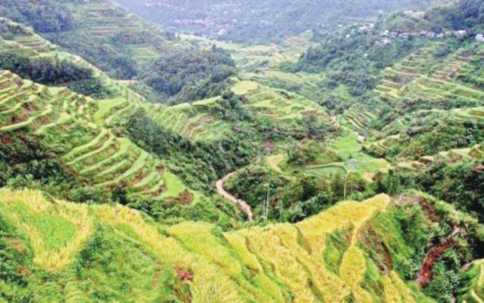 DOT tourism copy The Banaue Rice Terraces in Banaue, Ifugao province, is a major tourist attraction in Northern Luzon. The Philippine government on Saturday, Sept. 27, 2025, joined the world in pledging to champion a tourism sector that brings long-term benefit to both communities and the planet. PNA FILE PHOTO BY LIZA AGOOT