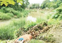 Photo shows a portion of the Tigum Flood Control Project in Barangay Purok 1, Pavia town. Photo courtesy of AJ Palcullo/PN