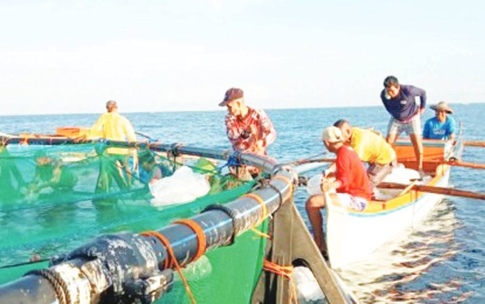 WTO_agreement_copy_resized Fishers from Manticao, Misamis Oriental, check the new bangus (milkfish) cage put up with the support of the Bureau of Fisheries and Aquatic Resources (BFAR) in this undated photo. An economist on Sept. 17, 2025 expressed hopes for an economic boost from the World Trade Organization’s Agreement on Fisheries Subsidies, which took effect on Sept. 15, saying this will not only support domestic growth but protect both the fishermen and the environment. MANTICAO LGU FILE PHOTO