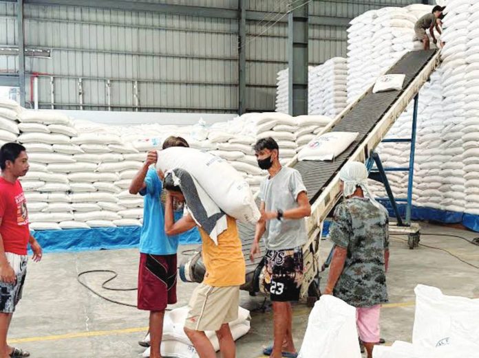 The Department of Agriculture says the import ban has given a temporary boost to farmers, with farmgate prices of palay rising after President Ferdinand "Bongbong" Marcos Jr. announced the move. PHOTO COURTESY OF GMA NETWORK