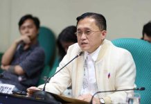 Senator Bong Go promotes sports tourism initiatives and raises concern over soaring local airfares during Department of Tourism budget delibs