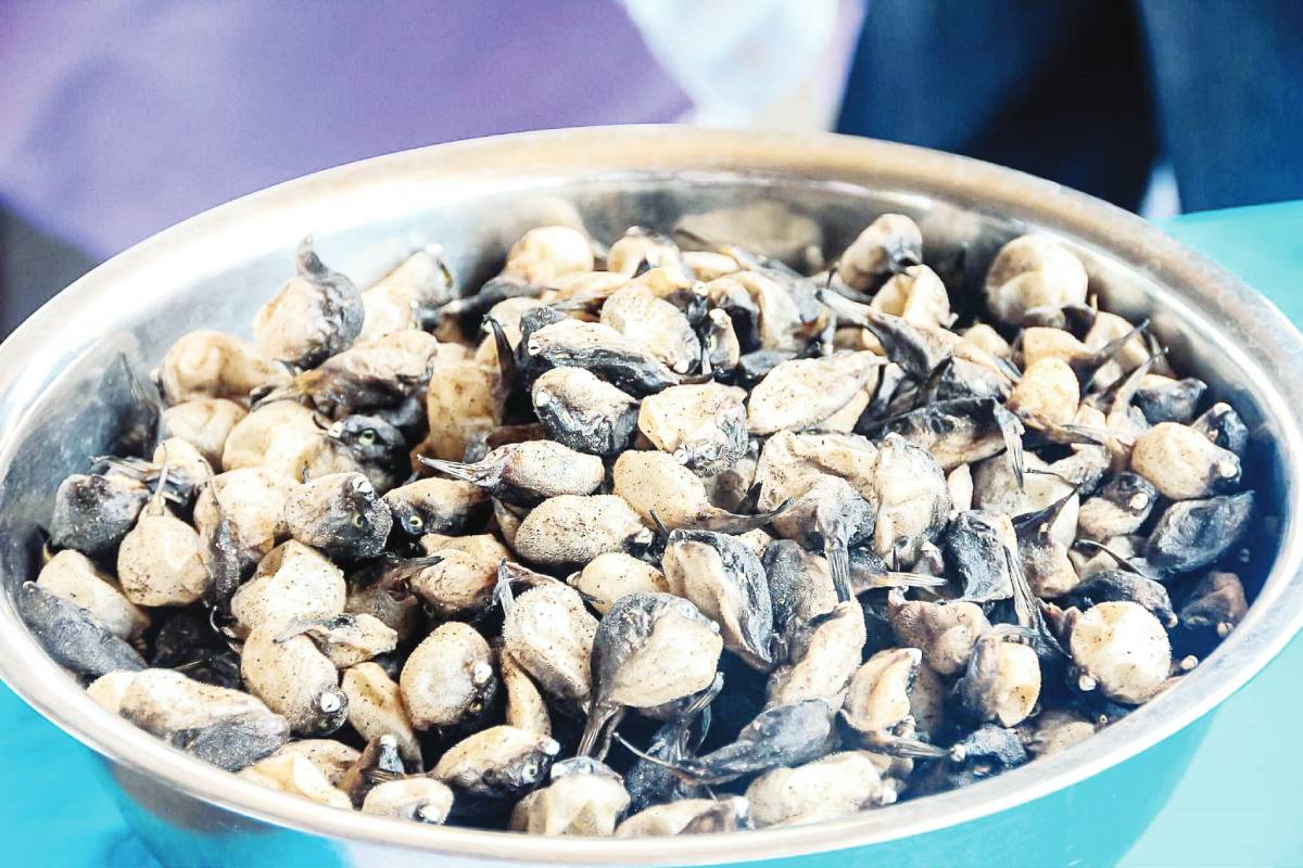 Cadiz to stage ‘buriring’ cooking competition