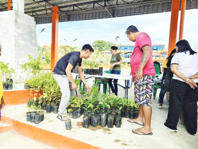 Around 8,000 seeds were donated for the “A Seed for a Forest” program of the Capiz Provincial Government while 300 seedlings of fruit-bearing species were distributed to the participants through a Community PanTREE. CAPENRO PHOTO