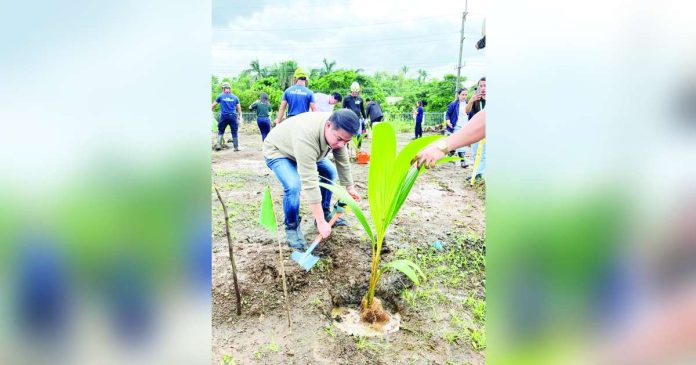 The Philippine government’s goal is to plant 100 million coconut trees by 2028 to achieve global market leadership. In 2024, Philippine Coconut Authority said they planted around 8.6 million, while the target for this year is around 15.3 million. DEPARTMENT OF AGRICULTURE PHOTO