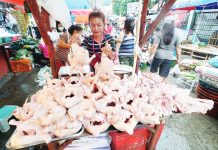 Poultry group warns vs buying frozen markets The United Broilers Raisers Association urges vendors in wet markets not to sell frozen products if they do not have a freezer because thawing and refreezing also risk the product from salmonella. Photo shows a vendor arranging her dressed chicken at her stall in a Caloocan City public market. PNA FILE PHOTO BY BEN BRIONES
