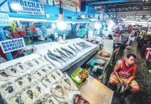 A vendor waits for customers at his milkfish (bangus) stall in Farmers Market, Quezon City. An economist projected inflation to settle at 2.1 percent in September 2025, higher than the 1.5 percent in August but still within the central bank's target. PNA PHOTO BY ROBERT OSWALD P. ALFILER