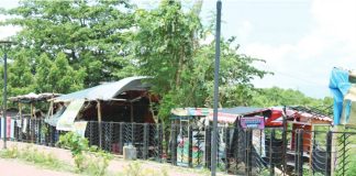 Makeshift houses crowd the edge of Sunset Boulevard in Iloilo City, where the local housing office has flagged 155 informal structures encroaching on the city’s showcase linear park. AJ PALCULLO/PN