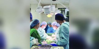 The Society of Gynecologic Oncologists of the Philippines conducted free medical and surgical services during a two-day gynecologic oncology mission held on August 22-23, 2025, at the Alfredo E. Marañon Sr. Memorial District Hospital in Sagay City, Negros Occidental. I LOVE SAGAY/FACEBOOK PHOTOS