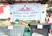 Big-ticket gov’t services rolled out in Iloilo: P20 rice, jobs, healthcare, aid for farmers Fresh produce on display at the Iloilo Provincial Capitol during the “Handog ng Pangulo: Serbisyong Sapat Para sa Lahat” caravan, where Ilonggos availed affordable food and other essential services. PHOTO FROM BALITA HALIN SA KAPITOLYO