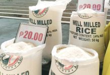 The government’s program “Sipag at Tiyaga” aims to ease the burden of food insecurity by making rice affordable to low-income families in Iloilo Province, particularly those identified as nutritionally at risk. Rice will be sold at P20 per kilo. PNA