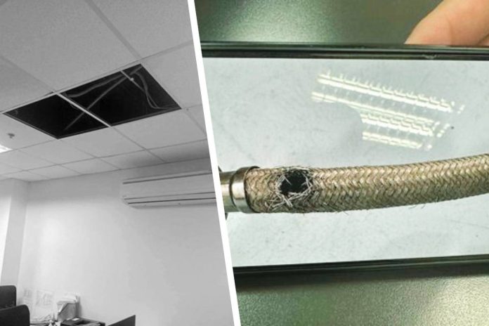 Collapsed ceiling panels and a ruptured hose at the pantry of the Iloilo legislative building reveal the extent of damage from the August 28, 2025 flooding in the building, which Mayor Raisa Treñas said may have been an act of sabotage based on initial findings of the City Engineer’s Office.