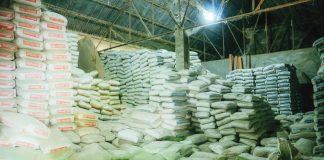 About 4,686 wasted bags of cement were discovered in the City Engineer’s Office warehouse at Barangay Taculing, Bacolod City, during Mayor Greg Gasataya’s inspection last Saturday, Sept. 6. BCCO PHOTO